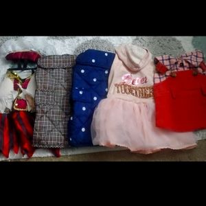 Lot of Dog Clothes